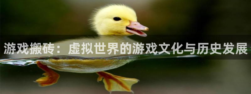 沐鸣2注册登录服务中心：游戏搬砖：虚拟世界的游戏文化与历史发