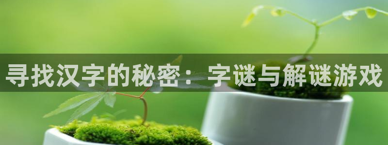 沐鸣2是正规平台吗：寻找汉字的秘密：字谜与解谜游戏
