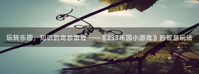 沐鸣2平台首页：玩转乐园，知识的奇妙旅程——《233乐园小游