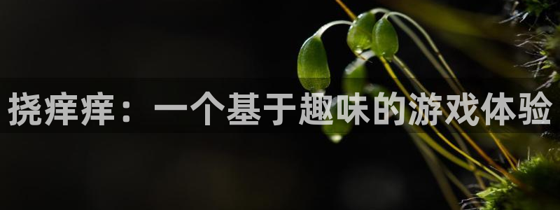沐鸣2娱乐官网在线登录：挠痒痒：一个基于趣味的游戏体验
