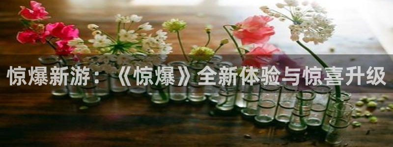 沐鸣2登录注册：惊爆新游：《惊爆》全新体验与惊喜升级
