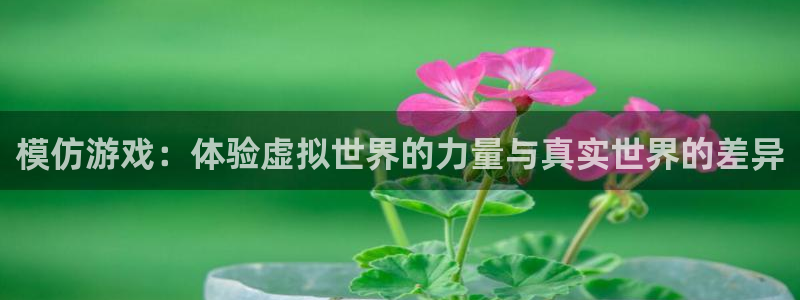 沐鸣2社区公益活动：模仿游戏：体验虚拟世界的力量与真实世界的