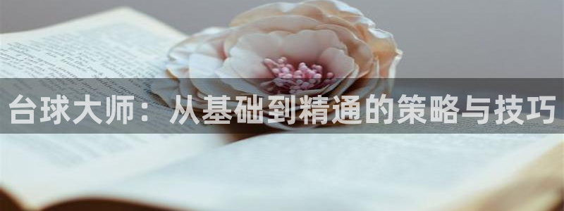 沐鸣2网站：台球大师：从基础到精通的策略与技巧